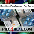 Silkworm Pills viagra5